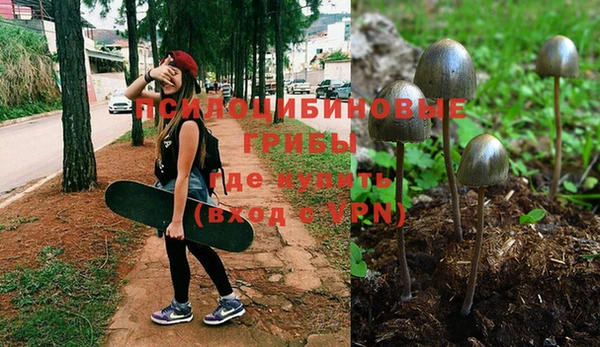бутират Белокуриха